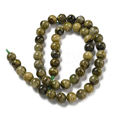 Natural Green Tourmaline Beads Strands G-B099-C05-04-1