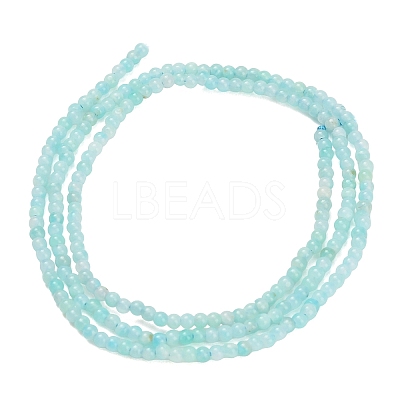 Natural Amazonite Beads Strands G-A322-A04-2mm-1