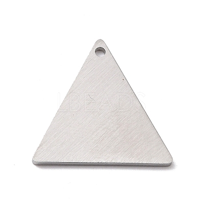 Tarnish Resistant 304 Stainless Steel Pendants STAS-F271-08C-P-1