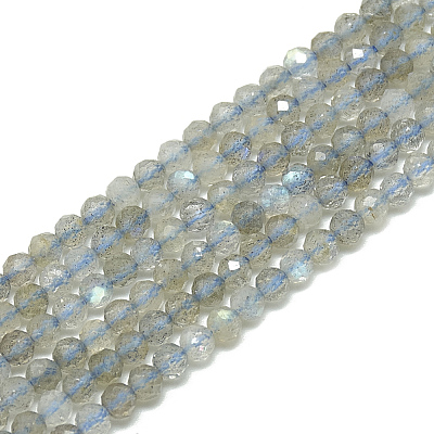 Natural Labradorite Beads Strands G-S300-23-3mm-1