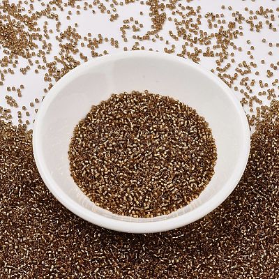 MIYUKI Delica Beads SEED-X0054-DB2524-1