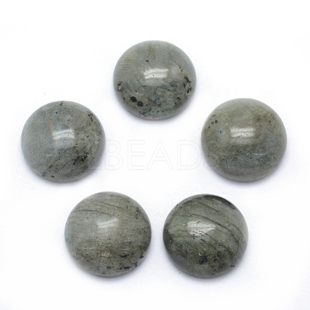 Natural Labradorite Cabochons G-P393-R47-4MM-1
