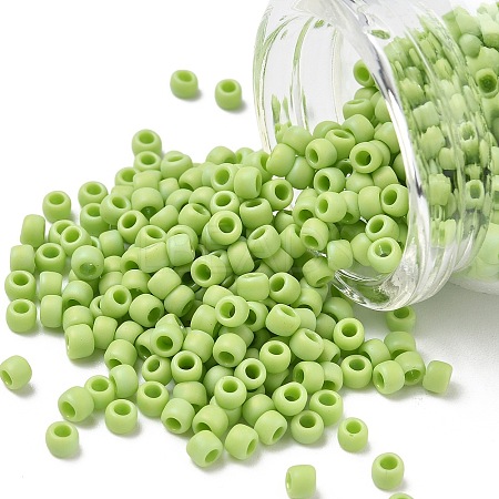 TOHO 6/0 Round Beads SEED-TR06-0404F-1