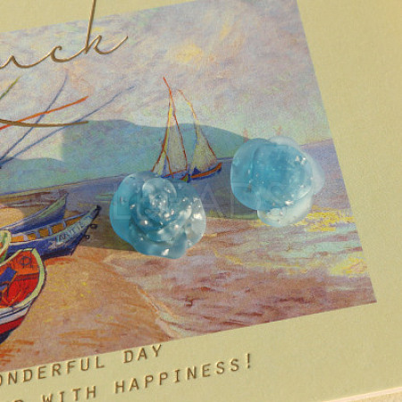 Resin Cabochons Accessories RESI-CJC0003-16D-1
