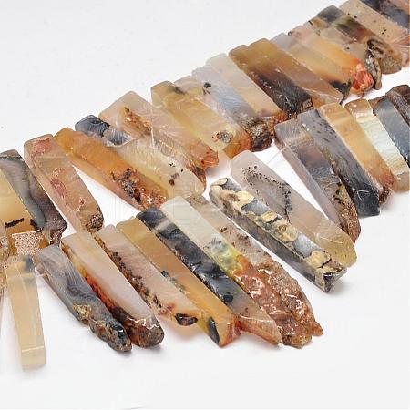 Natural Dendritic Agate Beads Strands G-E331-17-1