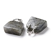 Natural Labradorite Brass Pendants KK-E274-01P-09-3