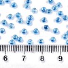 6/0 Glass Seed Beads SEED-A015-4mm-2216-4