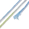10 Skeins 6-Ply Polyester Embroidery Floss OCOR-K006-A32-3