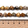 Natural Crazy Agate Beads Strands G-Z119-A13-03-3