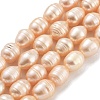 Natural Cultured Freshwater Pearl Beads Strands PEAR-P062-13B-2