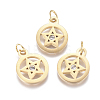 316 Surgical Stainless Steel Charms STAS-L242-04G-1