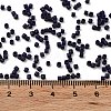 Baking Paint Glass Seed Beads X-SEED-S042-05B-79-4