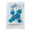 Pressed Dried Flowers DIY-F076-01A-1