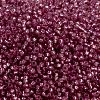 MIYUKI Round Rocailles Beads SEED-X0056-RR0645-3