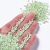 12/0 Glass Seed Beads SEED-S060-A-971-4