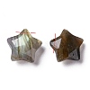 Natural Labradorite Charms G-H241-04C-2