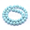 Natural Magnesite Beads Strands TURQ-G148-07-10mm-2