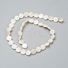Natural Freshwater Shell Beads X-BSHE-I011-01D-02-2