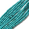 Natural Howlite Beads Strands G-C025-15B-1