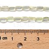 Electroplate Glass Beads Strands EGLA-P064-01A-FR01-4