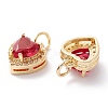 Brass Micro Pave Cubic Zirconia Charms LS-ZIRC-A019-14G-C-2