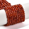 Natural South Red Agate Beads Strands G-Z074-A02-01A-2