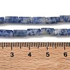 Natural Blue Spot Jasper Beads Strands GG-B091-A25-01-3