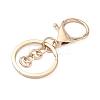 Alloy Keychain Clasps FIND-C084-10KCG-2
