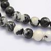 Natural Black Zebra Jasper Beads Strands G-G697-F02-8mm-3