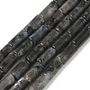 Natural Larvikite Beads Strands G-B091-A20-01-2