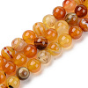 Natural Sardonyx Beads Strands G-S369-002D-B02-1