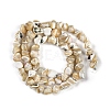 Natural Trochus Shell Beads Strands BSHE-H109-10-3