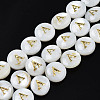 Natural Freshwater Shell Beads SHEL-S276-168A-1