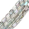 Electroplate Glass Beads Strands EGLA-P064-01A-FR04-1