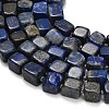 Natural Lapis Lazuli Beads Strands G-D108-B01-3