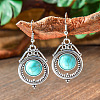 Bohemian Style Alloy Acrylic Dangle Earrings WG0B115-11-1