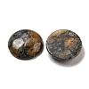 Natural Glaucophane Cabochons G-C115-02B-16-2