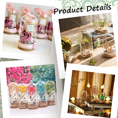 10Pcs Glass Dome Cloche Cover AJEW-SC0001-55C-1