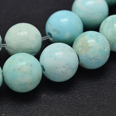 Natural Howlite Beads Strands TURQ-P027-17-4mm-1