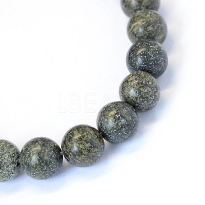 Natural Serpentine/Green Lace Stone Round Bead Strands X-G-E334-8mm-14-1