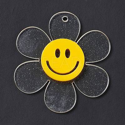 Transparent Acrylic Big Pendants OACR-P012-A06-1