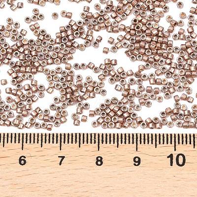 MIYUKI Delica Beads SEED-MY11-DB2504-1