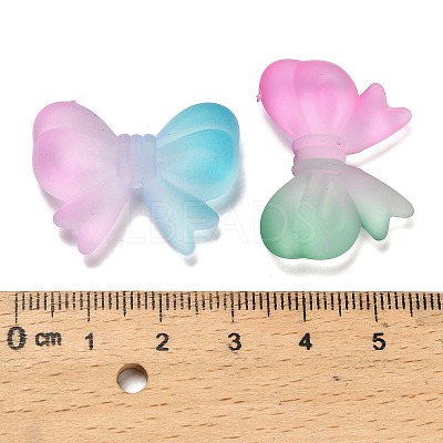Frosted Transparent Acrylic Beads OACR-D315-04-1