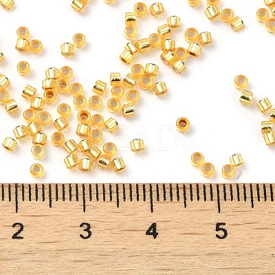 Glass Seed Beads X-SEED-S042-04B-12-1