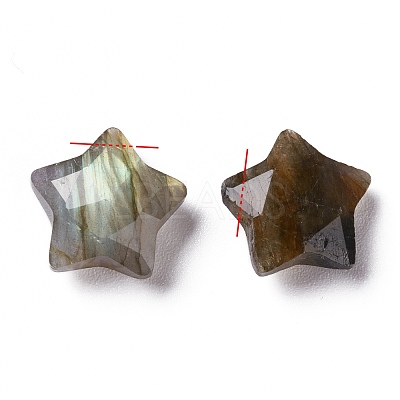 Natural Labradorite Charms G-H241-04C-1