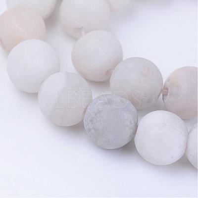 Natural Agate Beads Strands G-Q462-10mm-09-1
