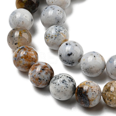 Natural Dendritic Opal Beads Strands G-R494-A16-03-1