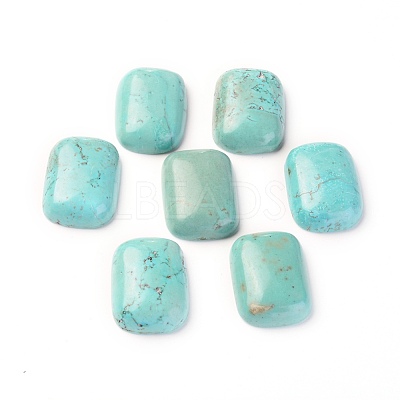 Natural Howlite Cabochons TURQ-L031-039A-1