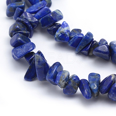 Natural Lapis Lazuli Beads Strands LS-G-P332-50-1