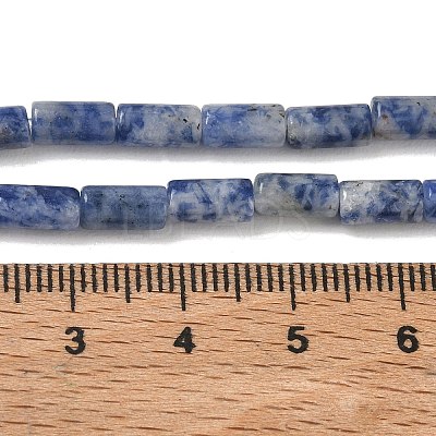 Natural Blue Spot Jasper Beads Strands GG-B091-A25-01-1
